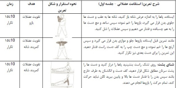 طرح درس آمادگي جسماني موضوع نمونه تمرينات استقامت عضلاني و انعطاف پذيري