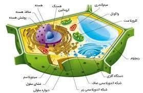 پاورپوینت آجر های سازنده سلول