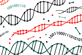 پاورپوینت الگوریتمهای تکاملی (الگوریتم ژنتیک)