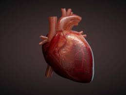تحقیق بیماری قلبی