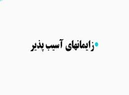 پاورپوینت زایمان های آسیب پذیر