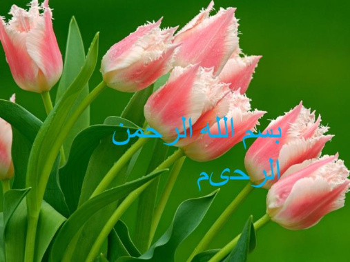 پاورپوینت مراقبت های اساسی و پايه در سالمندی