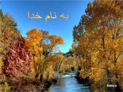 پاورپوینت ترومای عروق بزرگ شکم