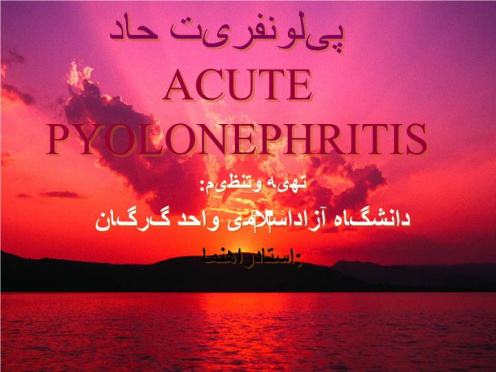 پاورپوینت پیلونفریت حاد ACUTE  PYOLONEPHRITIS