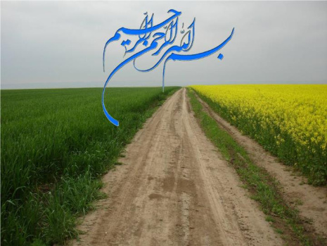 پاورپوینت طرحهای توسعه کشاورزی استان البرز