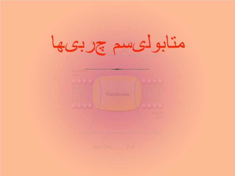 پاورپوینت متابولیسم چربیها