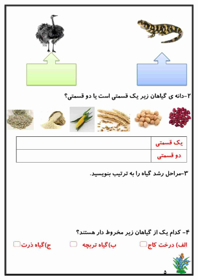 کاربرگ هفته ی اول اردیبهشت ماه پایه سوم دبستان (ابتدائی): (فارسی، ریاضی، علوم، هدیه و مطالعات)