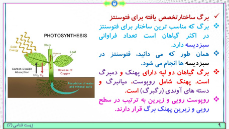 پاورپوینت گفتار 1 زیست شناسی پایه دوازدهم تجربی: فتوسنتزتبدیل انرژی نور به انرژی شیمیایی