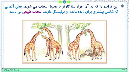 پاورپوینت گفتار 2 زیست شناسی پایه دوازدهم تجربی: تغییر در جمعیت‌ها