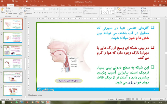 پاورپوینت گفتار 1 زیست شناسی دهم تجربی: ساز و کار دستگاه تنفس در انسان (تبادلات گازی)