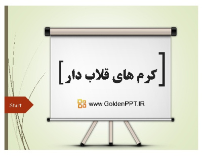 پاورپوینت کرم های قلابدار انسانی