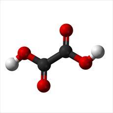 طرح توجيهي توليد اسید اگزالیک