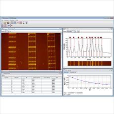 آموزش نرم افزار ژل آنالایزر (GEL ANALYZER)