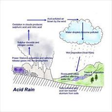 پاورپوینت در مورد باران اسیدی