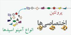 دانلود مقاله در مورد پروتئین ها-اصول تغذیه