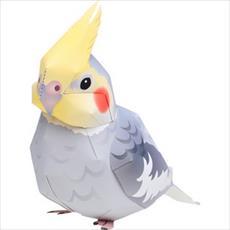 آموزش ساخت ماکت سه بعدی عروس هلندی (Cockatiel)