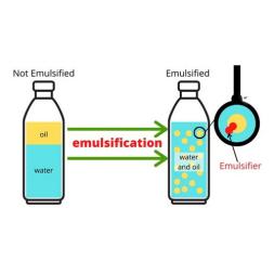 پاورپوینت امولسیفایر