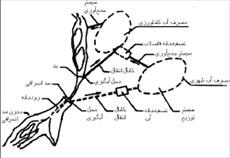 اصول و مبانی آبگیری از رودخانه ها به صورت فایل pdf در 150 صفحه همراه با شکل و تصاویر