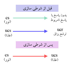 پاورپوینت یادگیری و شرطی سازی