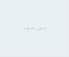 تخريب اموال تاريخي و فرهنگي در حقوق جزاي ايران 10ص  doc