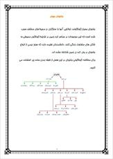 دانلود مقاله  نرمتنان وسخت پوستان 16 ص