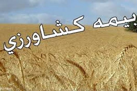 بررسی نحوه بیمه باغات