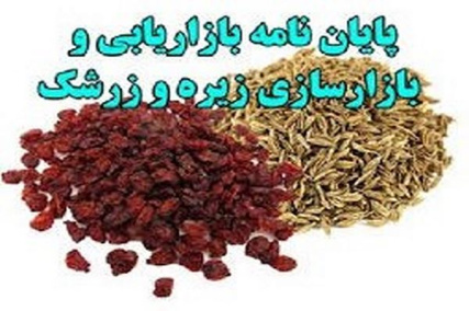 بازاریابی و بازسازی زیره و زرشك