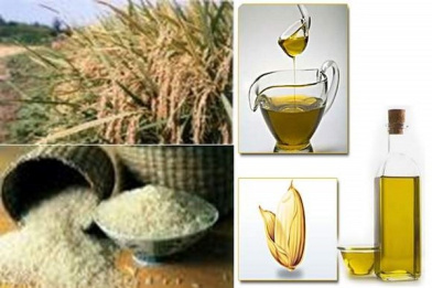 پاورپوینت بررسی روغن سبوس برنج وروش های استخراج آن