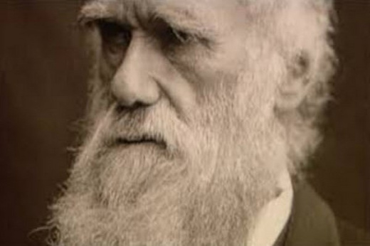 پاورپوینت نظریه های کردار شناسانه داروین و لورنز