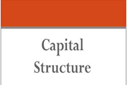 پاورپوینت نظریه ها و کاربردهای ساختار سرمایه و سیاستهای تقسیم سود