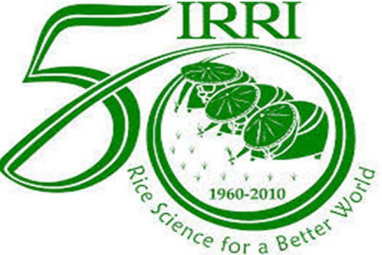 پاورپوینت سازمان بین المللی IRRI چیست