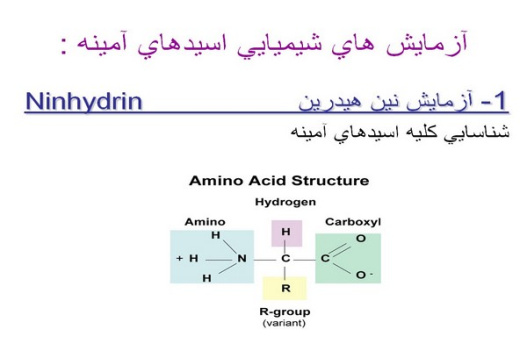 پاورپوینت بررسی آزمايش هاي كيفي اسيدهاي آمينه و پروتئين ها