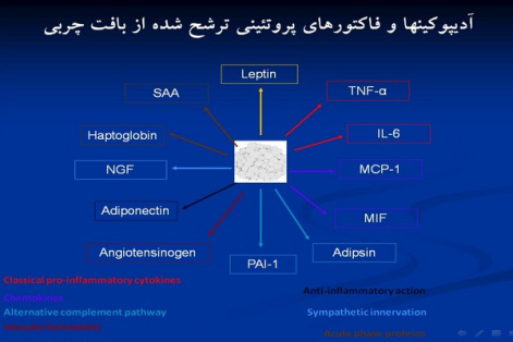 پاورپوینت آدیپوکین ها