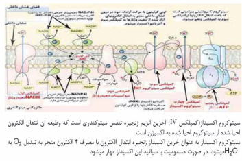 پاورپوینت مسمومیت با نیتروپروساید (ویژه ارائه کلاسی درس بیوشیمی)