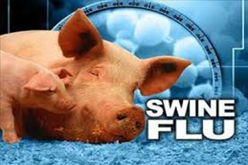 پاورپوینت از بیماری آنفولانزا با منشا خوکی چه میدانید ؟