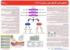 پوستر راهنمای تفسیر گازهای خون شریانی (پوسترABG) - ویژه پرستاران