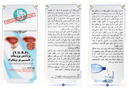 پمفلت برداشتن پروستات از طریق پیشابراه (پمفلت TURP)