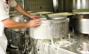 دانلود پروژه نگهداری و فرآوری مواد غذایی- فناوری های بازیافت ضایعات کارخانه های تولید پنیر