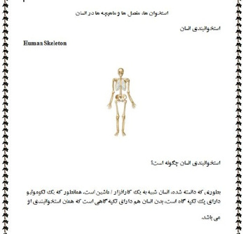 استخوان ها، مفصل ها و ماهیچه ها در انسان