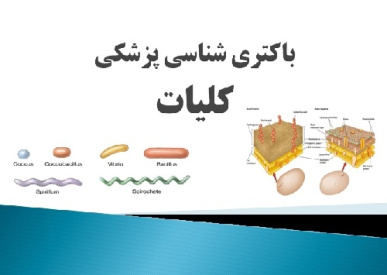 باکتری شناسی پزشکی - کلیات