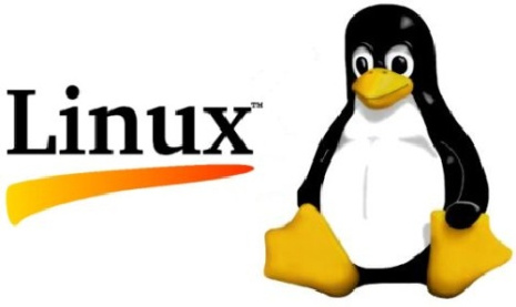 سیستم عامل لینوکس- LINUX