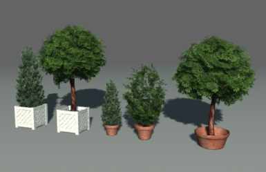 آبجکت 5مدل مختلف از درخت های کوچک همراه با گلدان با فرمت OBJ همراه با تکستچر و متریال