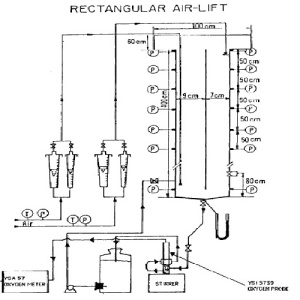 انتقال جرم در راکتور Air-Lift  مستطیلی: اثرات هندسی و بازخورانی گاز