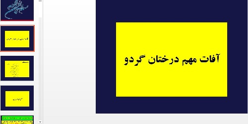 پاورپوینت کامل آفات مهم درختان گردو