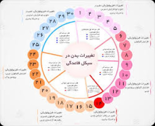 پاورپوینت فیزیولوژی قاعدگی(29 اسلاید)