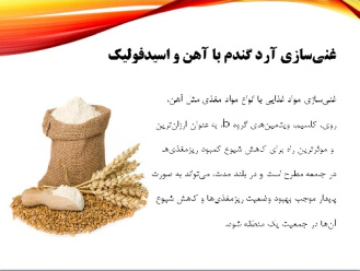 تحقیق و پاورپوینت غنی سازی مواد غذایی