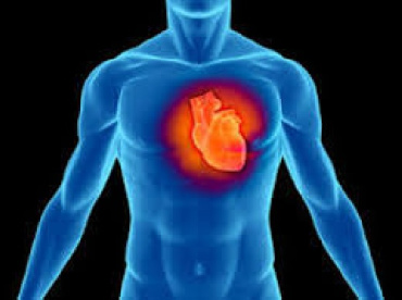سیستم خبره تشخیص ناراحتی قلبی