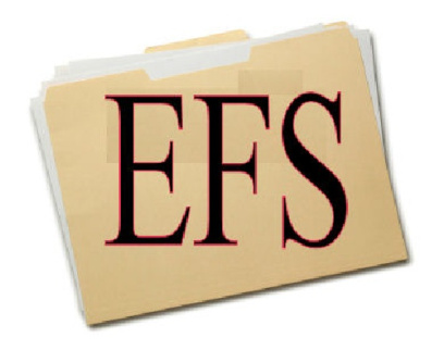 فايل EFS سامسونگ i8262