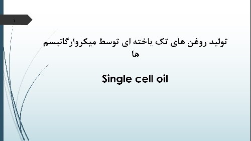 تولید روغن های تک یاخته ای توسط میکروارگانیسم ها (Single cell oil)