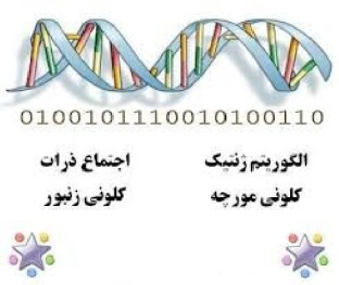 کد پیاده سازی الگوریتم های تکاملی در متلب ( مورچگان - قورباغه - گرانشی - تبرید - رقابت استعماری- زنبور عسل - ازدحام ذرات PSO - ژنتیک )